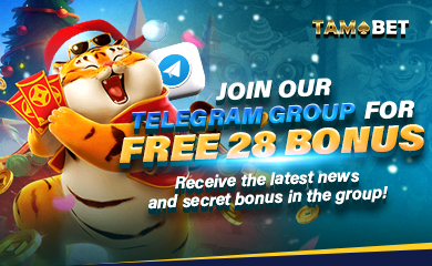Join Telegram Group Chat for Free bonus!